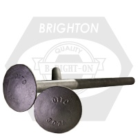 Picture of Brighton Best 483170 3/4"-10X20",6" Thd Timber Bolts A307 Grade A Hdg